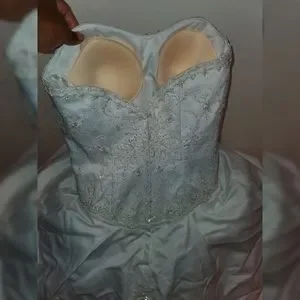 David's Bridal Dresses Davids Bridal Oleg Cassini Wedding